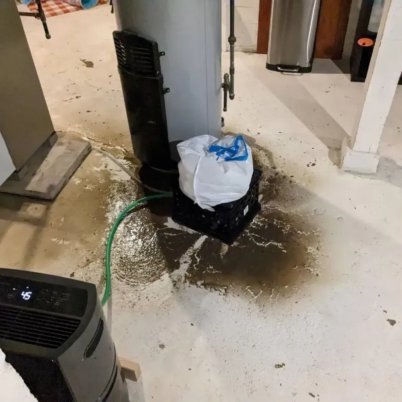 Sewage Backup Cleanup Service in Emanuel County, GA